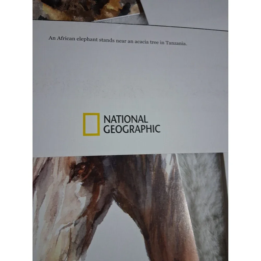 Vintage greeting cards/envelopes National geographic, world wild life, 26 pieces